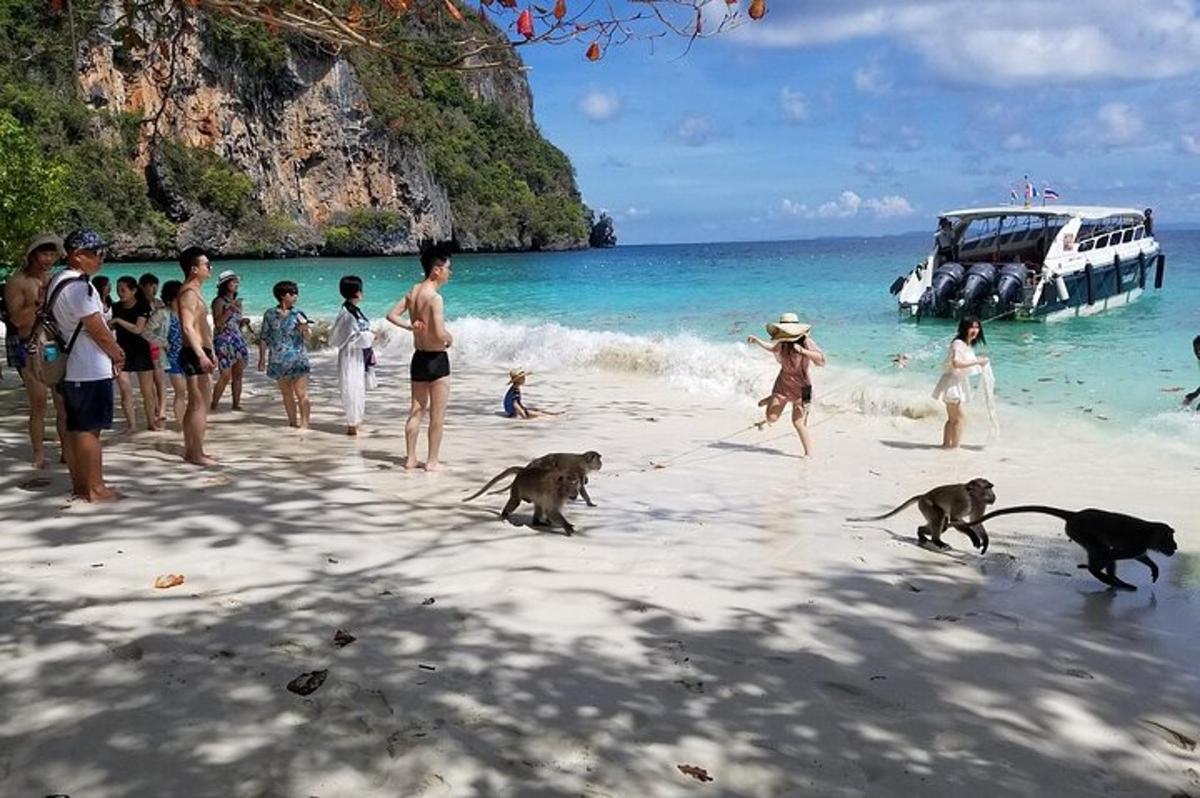 un grup de persones jugant a la platja amb micos