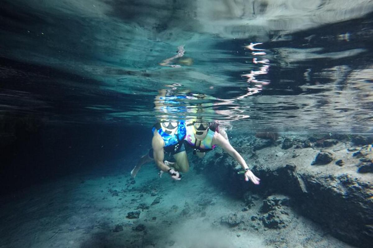 seseorang sedang berenang di air laut