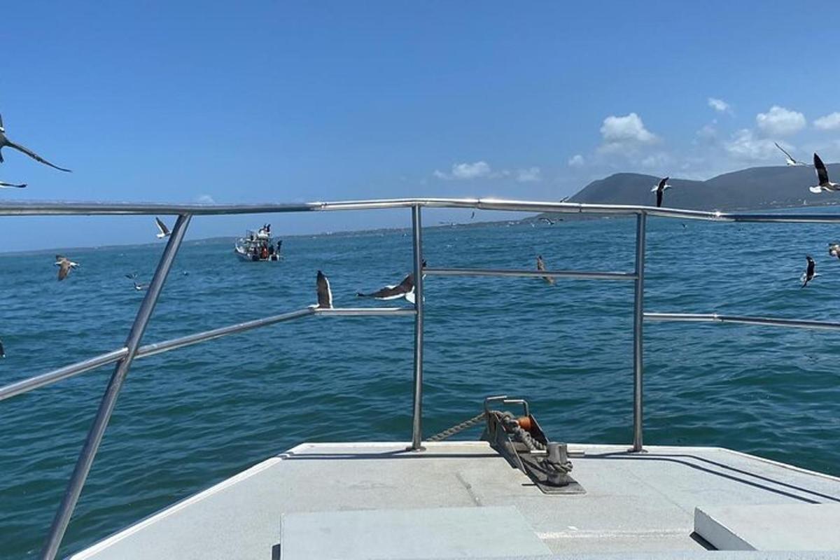 eine Gruppe von Menschen auf einem Boot im Wasser