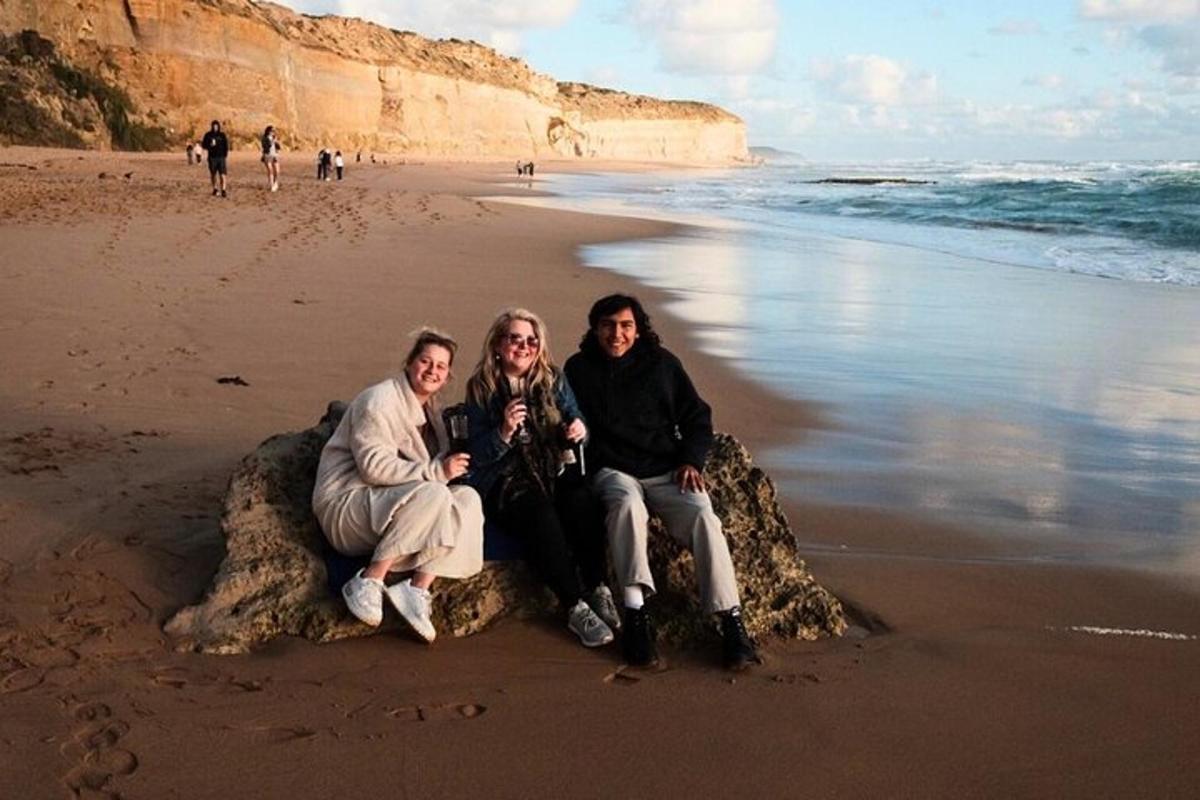 three people sitting on a log on the beach