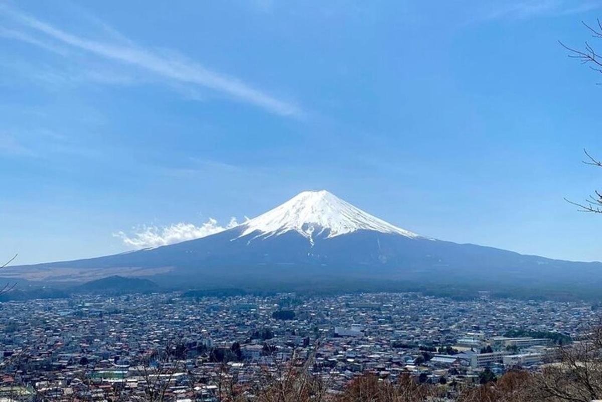 uma vista de uma montanha coberta de neve com uma cidade