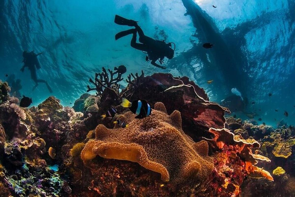 two people swimming over a coral reef