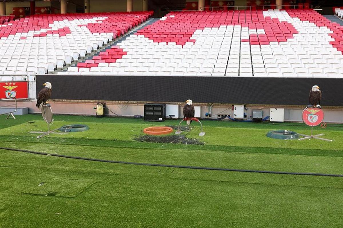 a group of people playing frisbee in a stadium