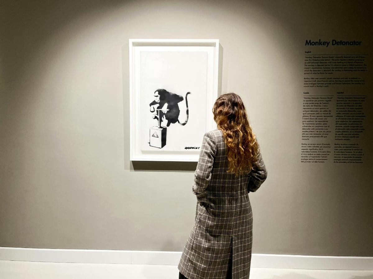 Foto dell’attrazione numero 7