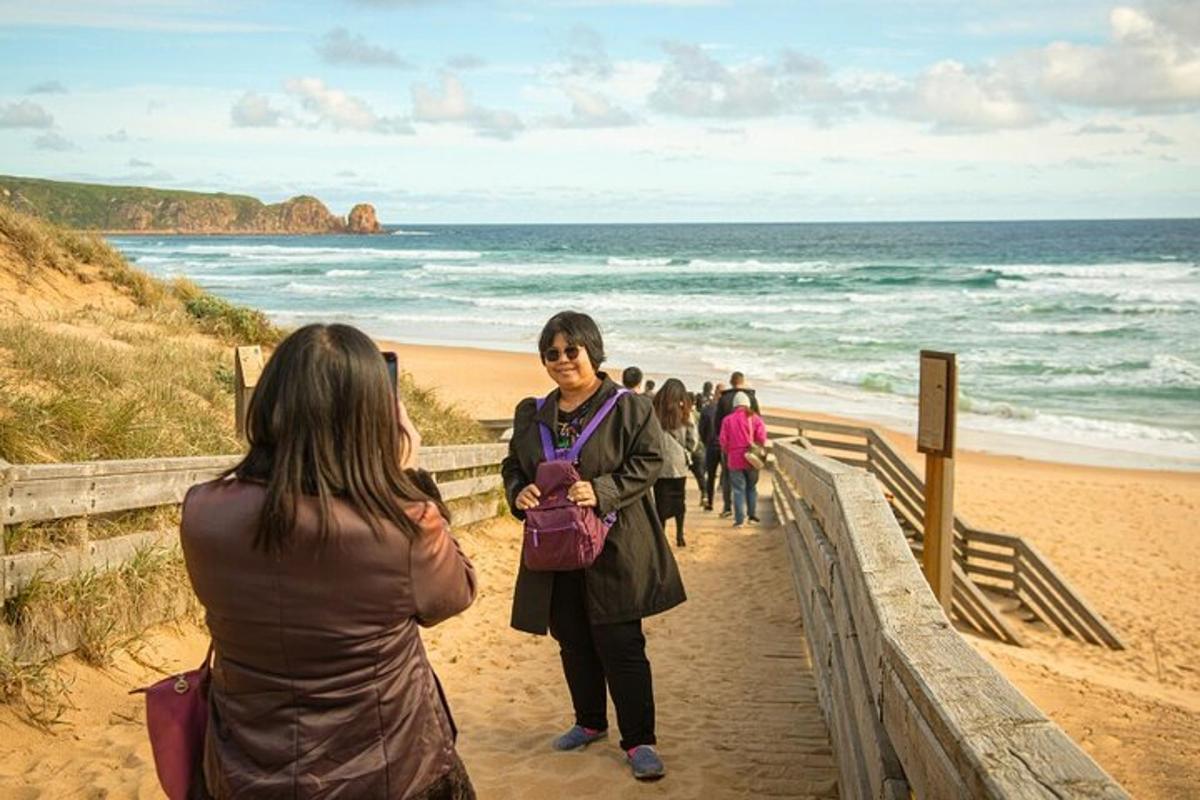 a group of people walking on the beach