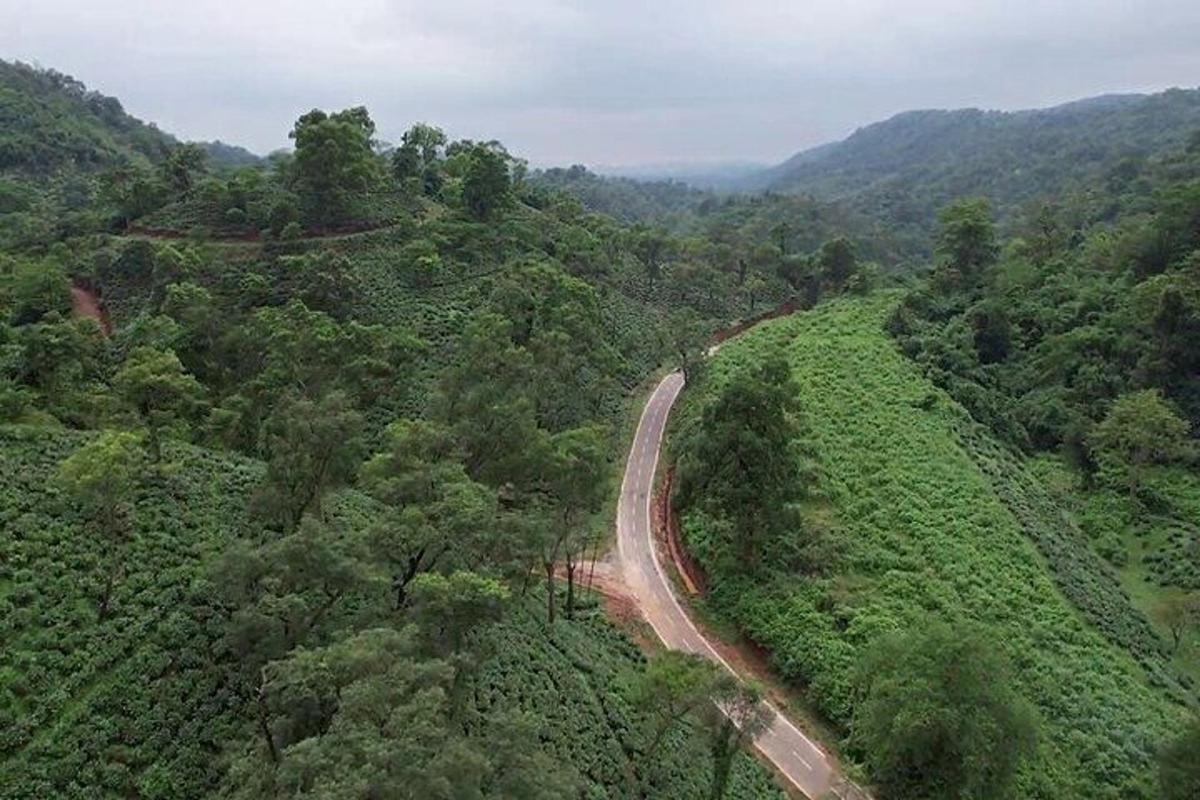 an aerial view of a road in the middle of a forest
