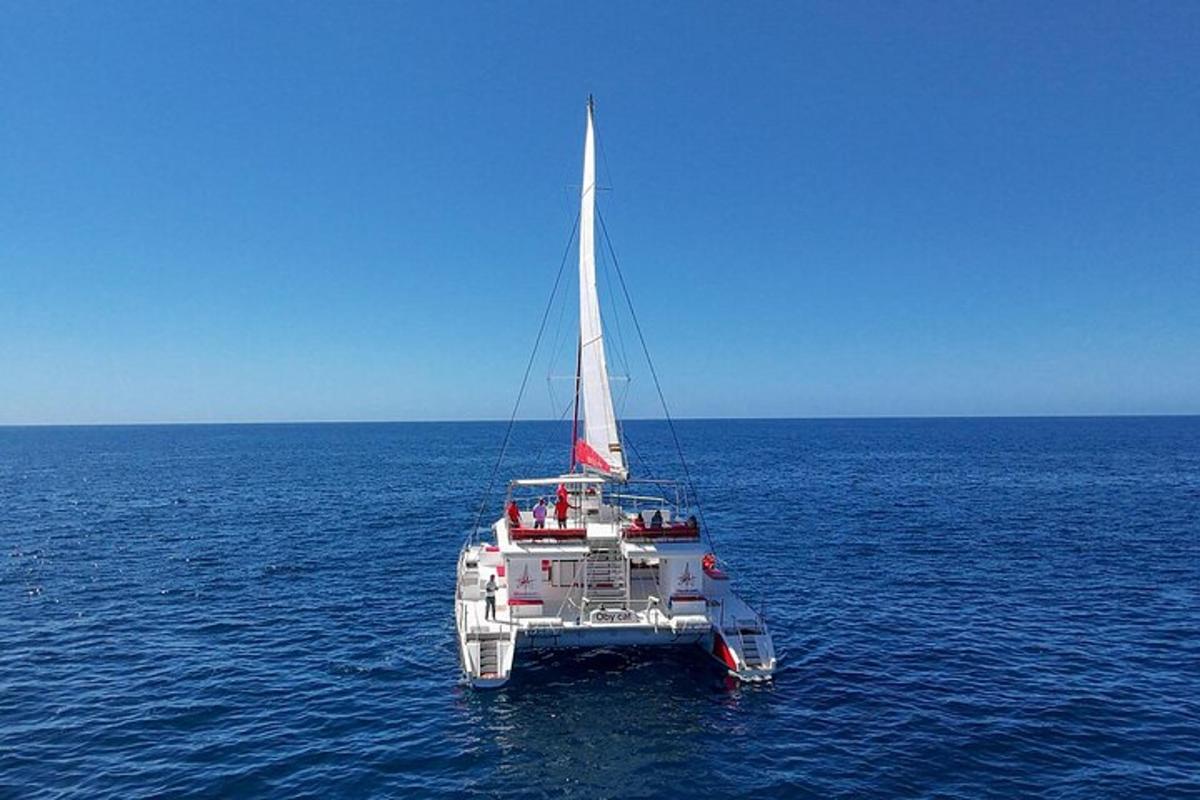 una barca bianca in mezzo all'oceano