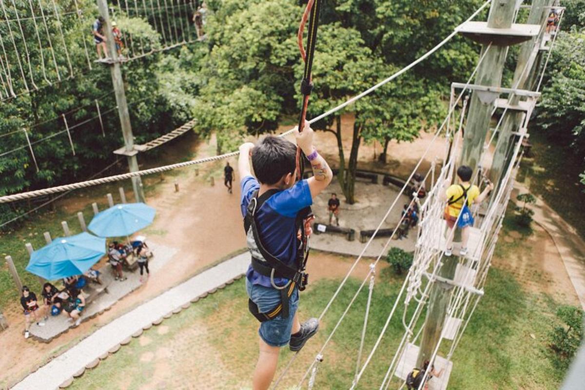 muž na zip line v parku