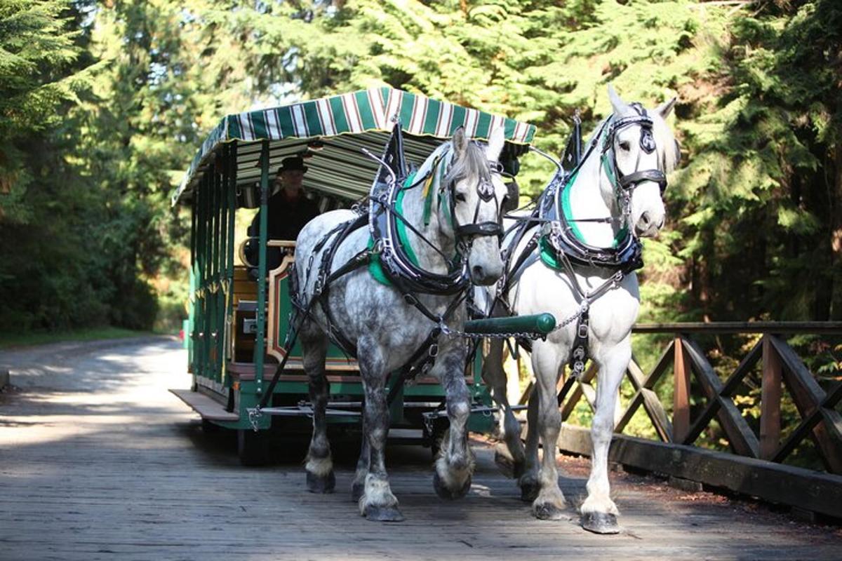 dos caballos blancos tirando de un carro verde