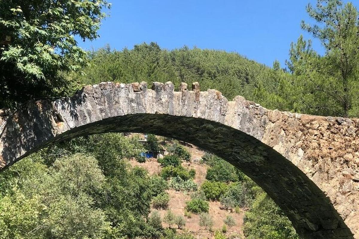 un vell pont de pedra sobre un camp amb arbres
