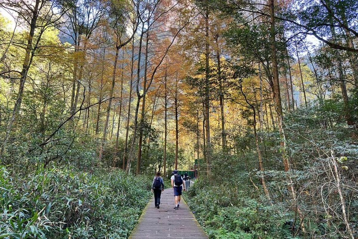 two people walking down a path in the woods