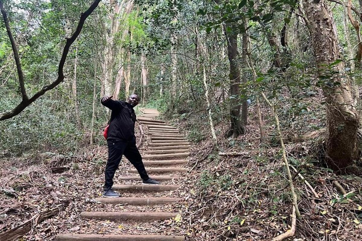 a man standing on a set of stairs in a forest
