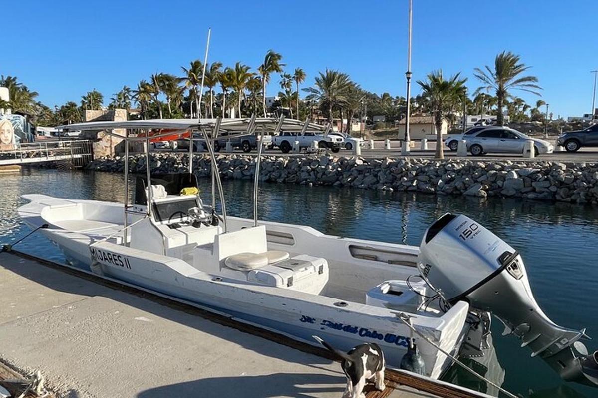 a white boat is docked in a marina