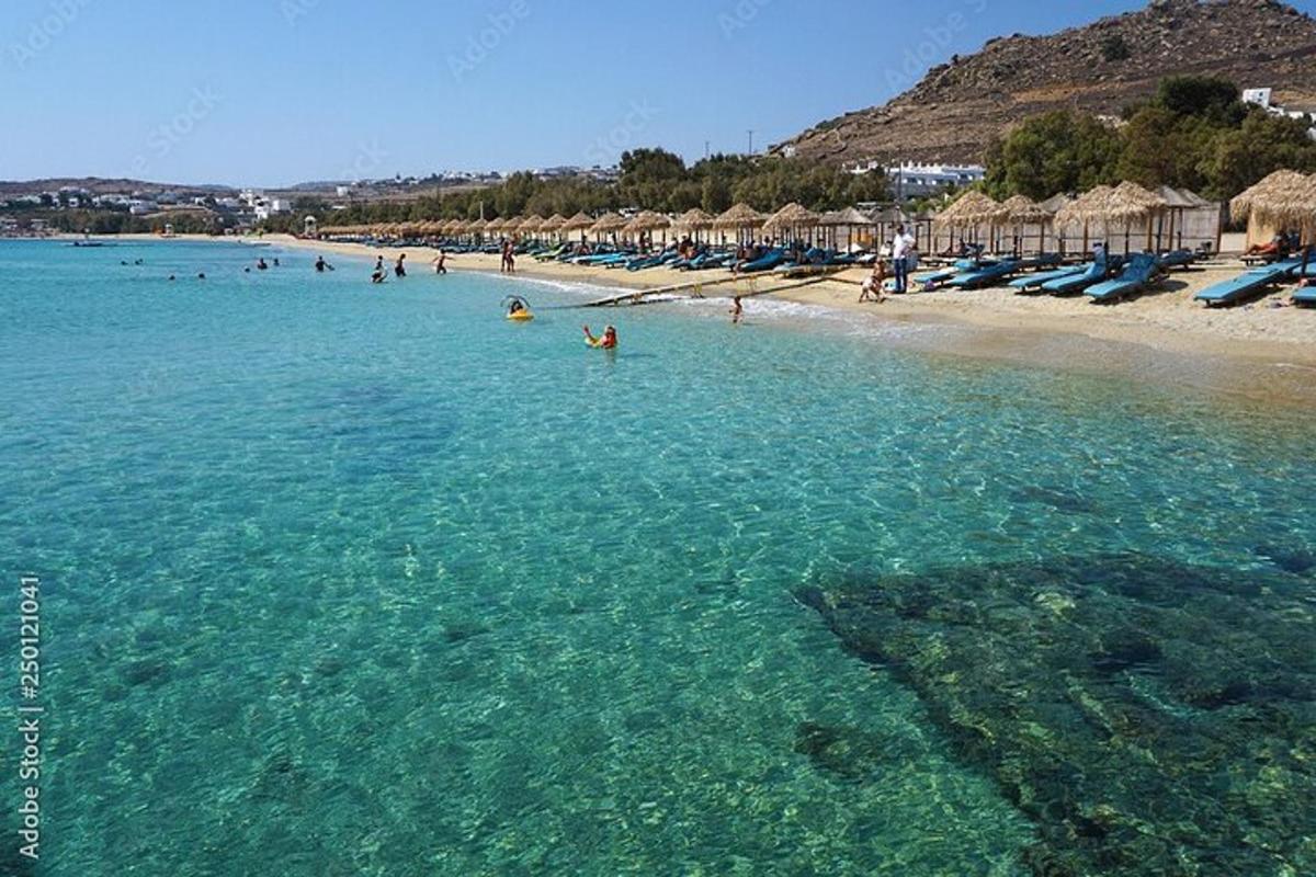 skupina ljudi v vodi na plaži