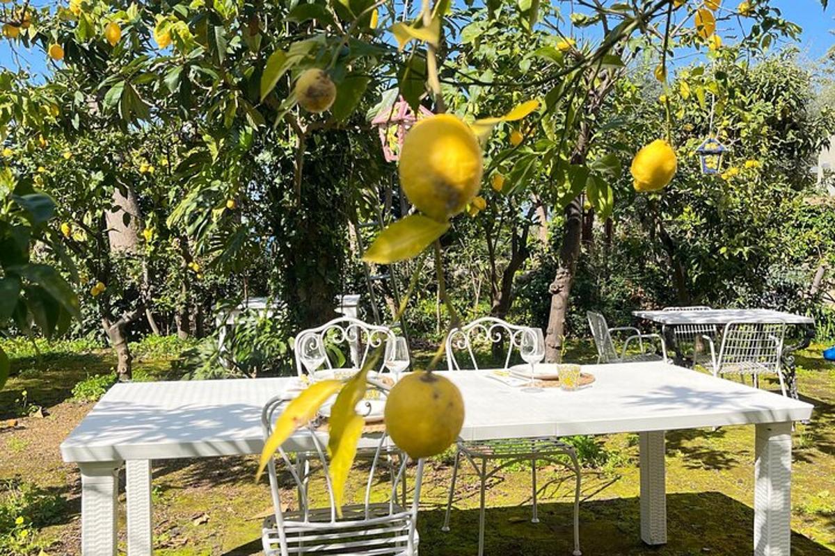 a white table and chairs under a lemon tree