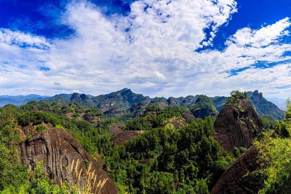 a view of a canyon with trees and mountains