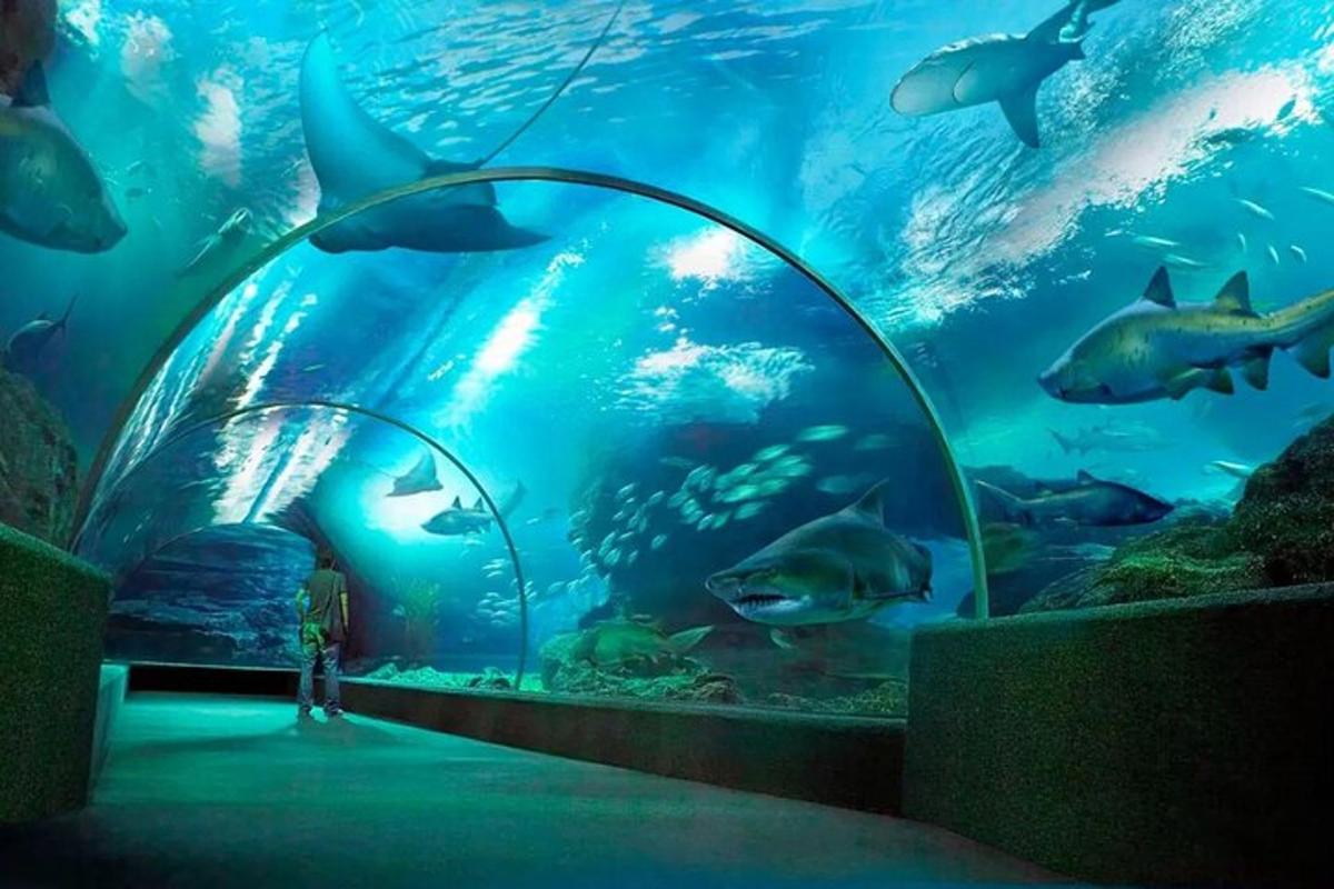 a large aquarium with fish in it