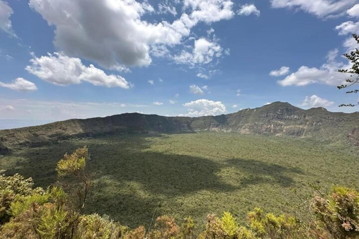 vista d'un camp amb muntanyes al fons
