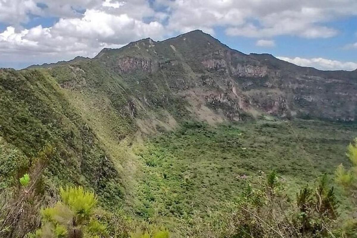 緑の野原のある山の景色
