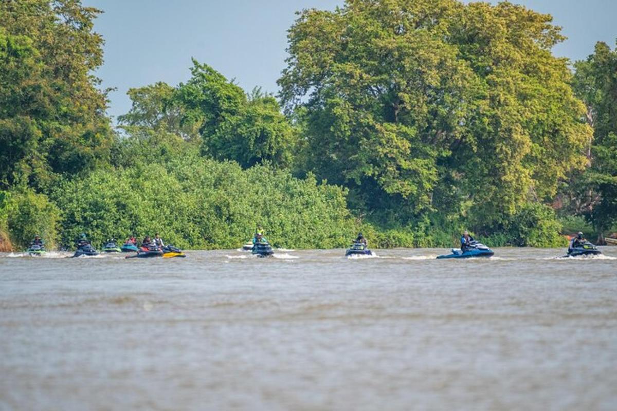 eine Gruppe von Menschen fährt Kajak auf einem Fluss