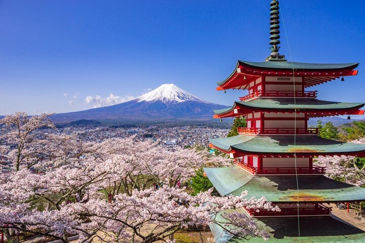 Pagoda s horou v pozadí akura stromy