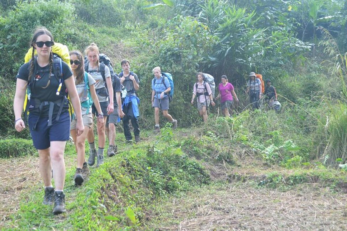 a group of people walking down a trail