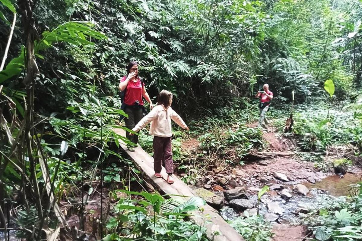two people walking across a bridge in the jungle