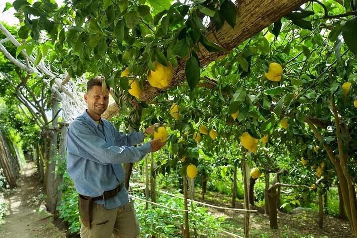 moški stoji poleg limoninega drevesa