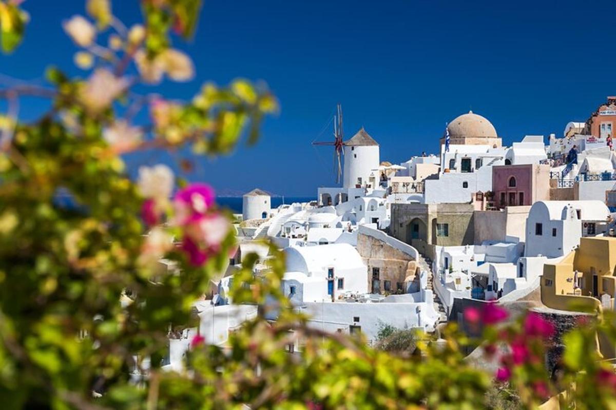a view of a village with white buildings and flowers