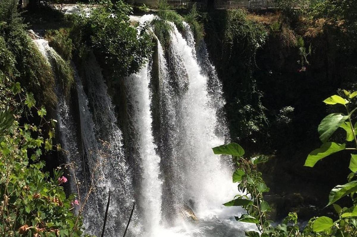 una cascada al mig d'un bosc