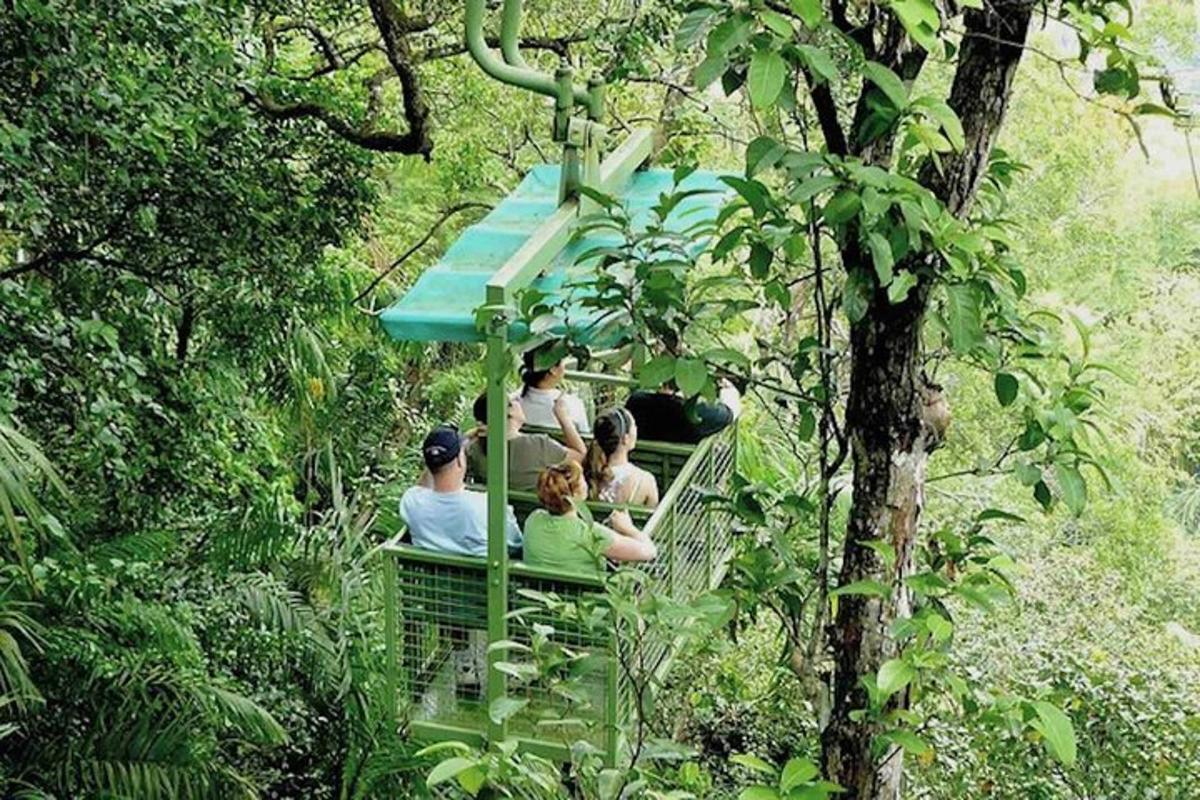 un grup de persones pujant a una muntanya russa al bosc