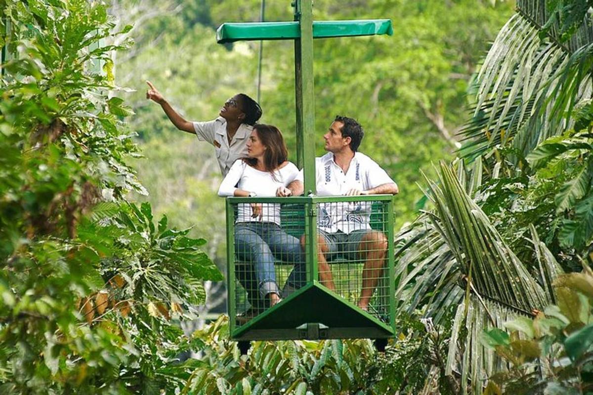 un grup de tres persones muntant en una atracció a la selva