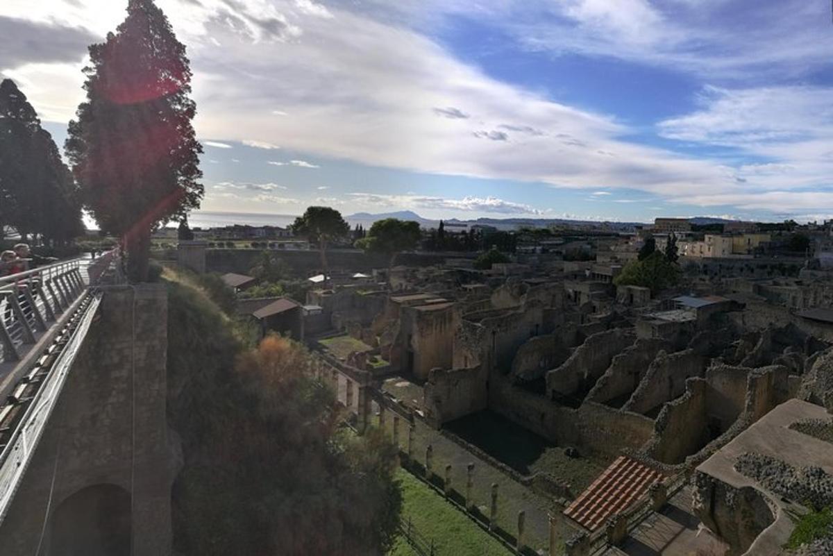 pohled na město se stromem a ruinami