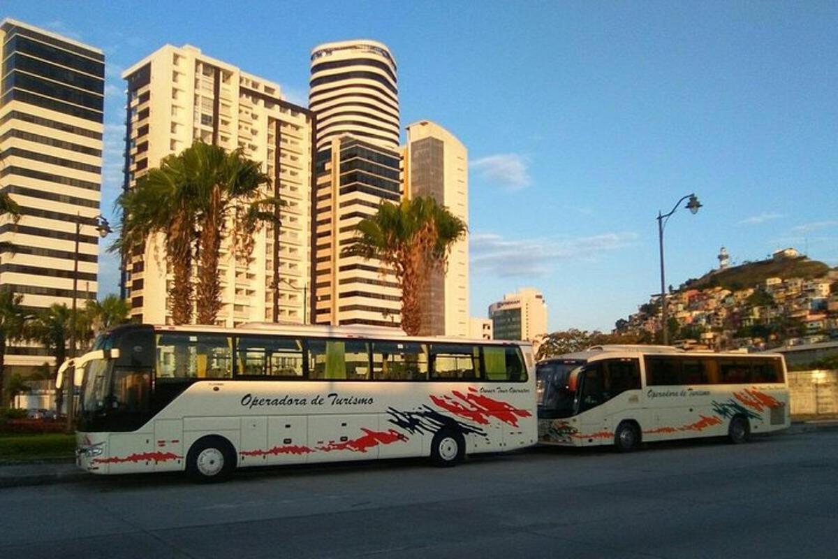 dva avtobusa parkirana ob strani ulice z zgradbami