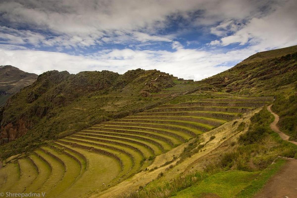 Un gran campo con terrazas en la ladera de una montaña