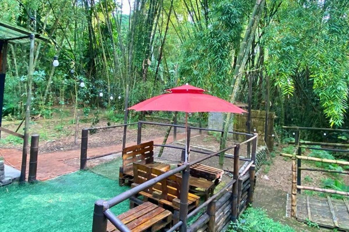 a bench with a red umbrella in the grass