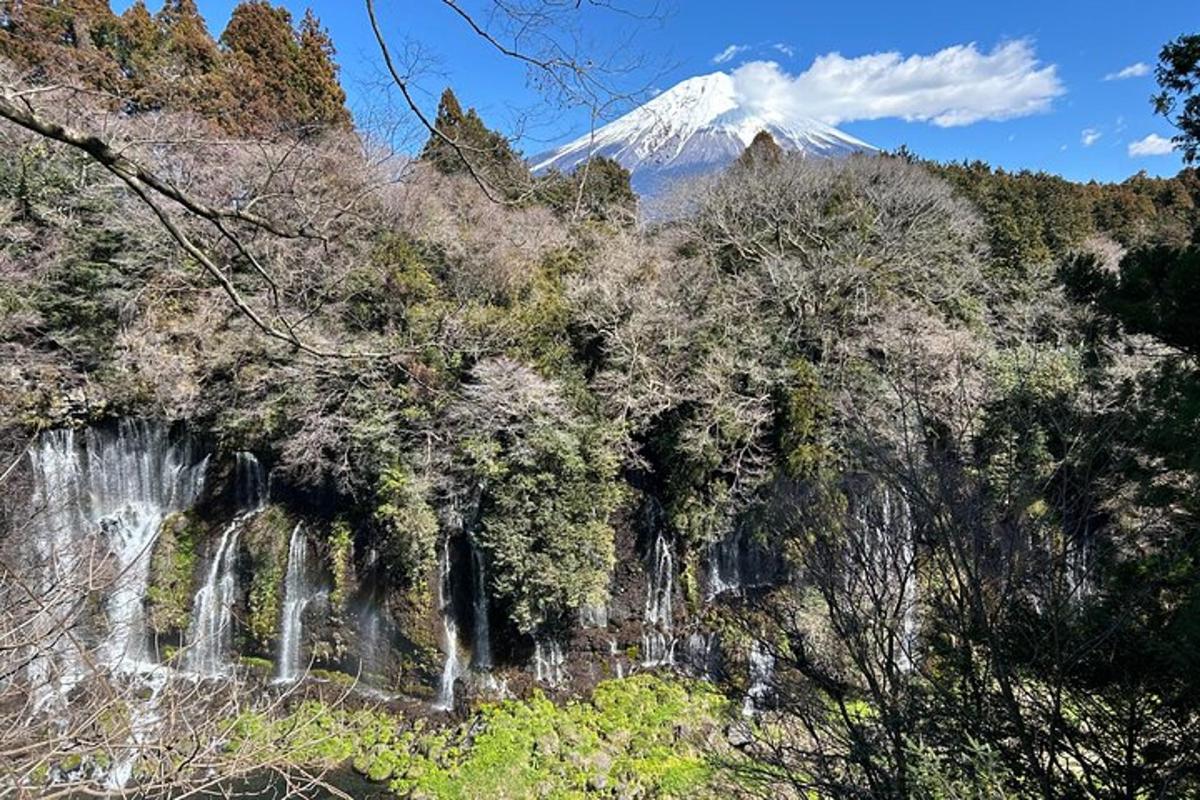 a snow covered mountain in the distance with trees and waterfalls