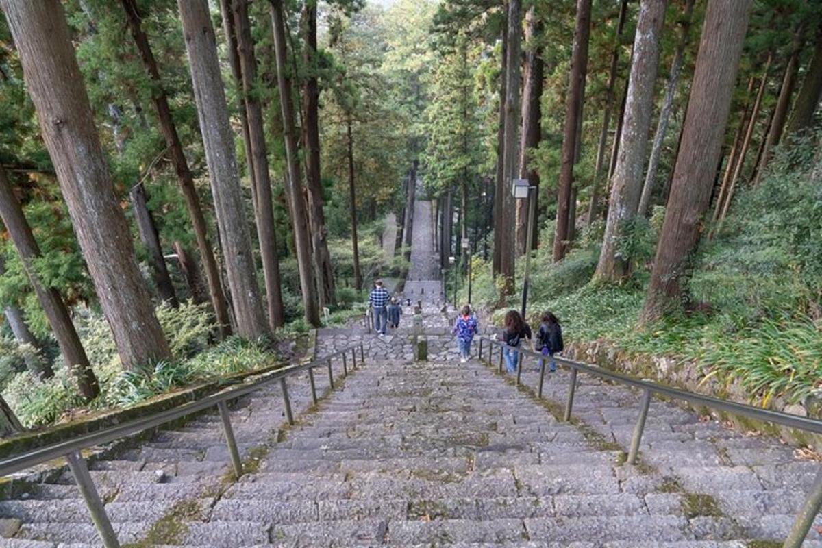 a group of people walking down a stone path in a forest