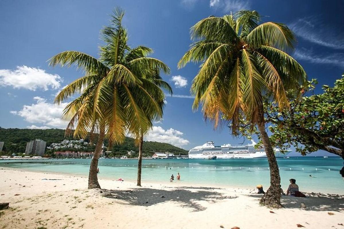 một bãi biển có hai cây cọ và một con tàu du lịch