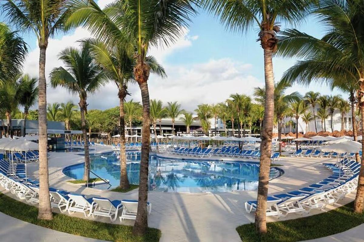 Una piscina tipo resort con palmeras y tumbonas.