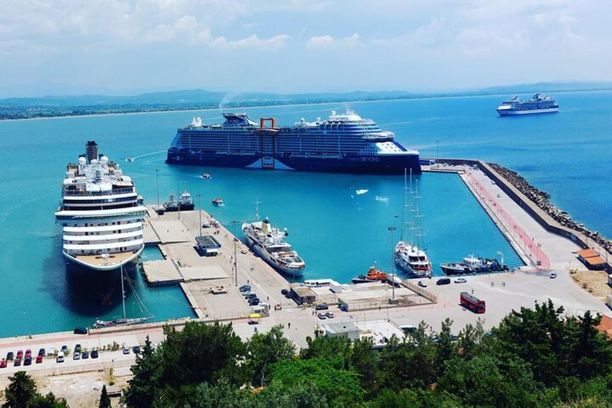 a group of cruise ships docked in a harbor