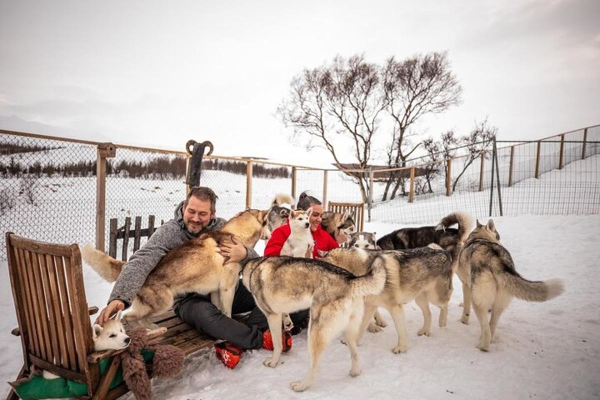 skupina lidí sedících na lavičce se psy