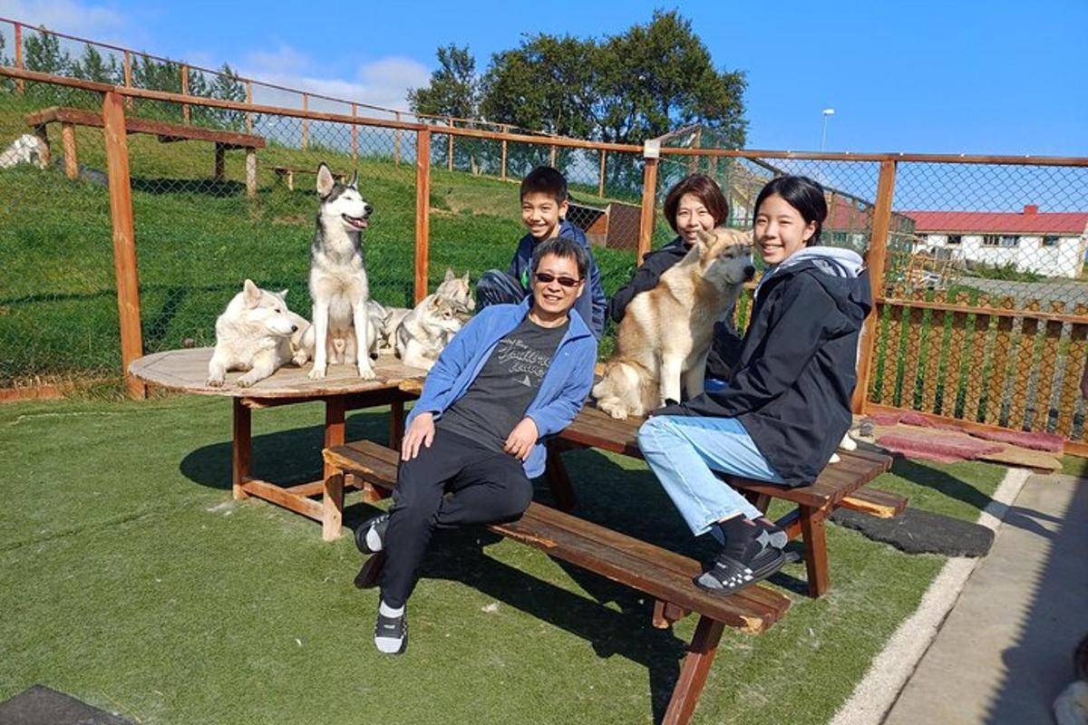 a group of people sitting on benches with dogs