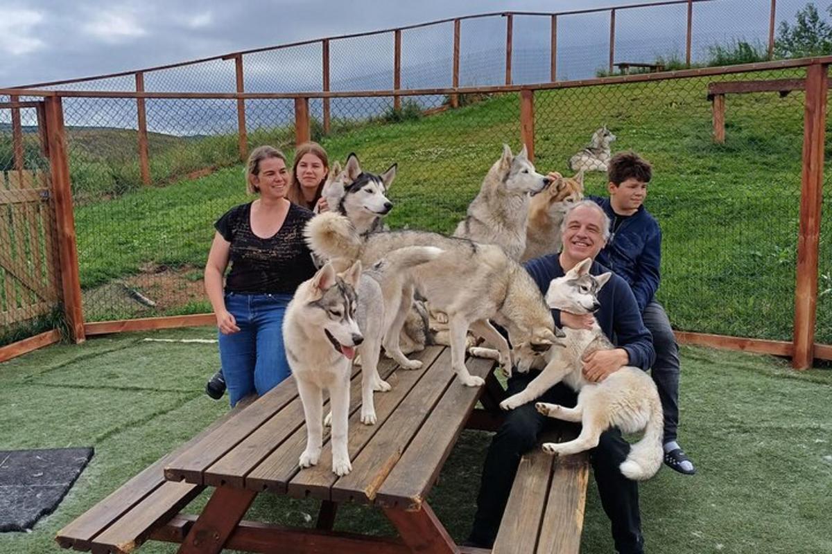 a group of people sitting on a picnic table with wolves