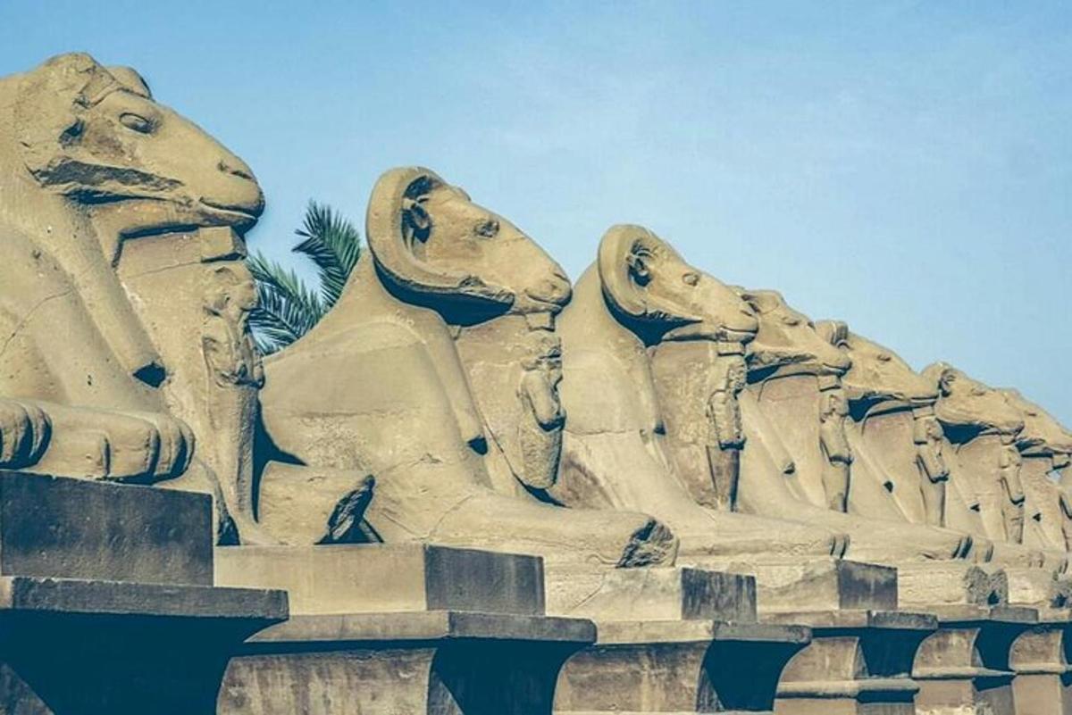 una estàtua de pedra d'un grup de gossos