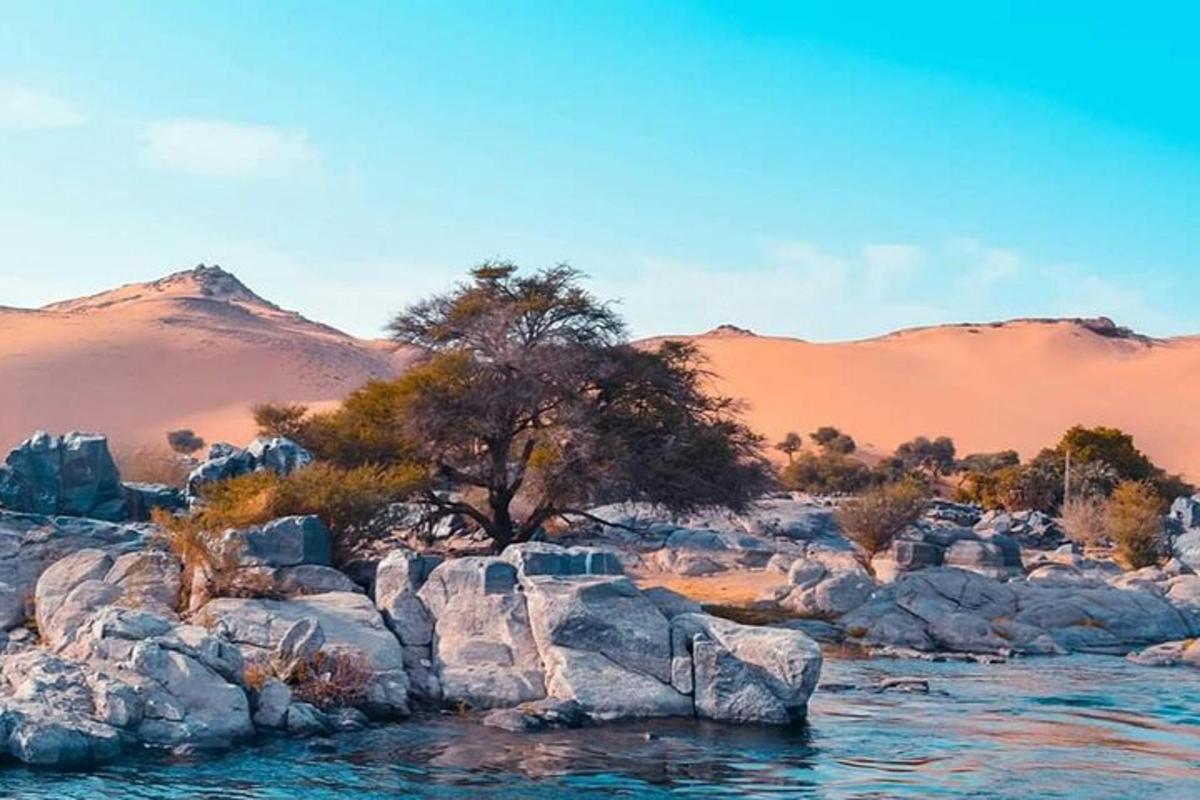 un arbre sobre les roques al desert