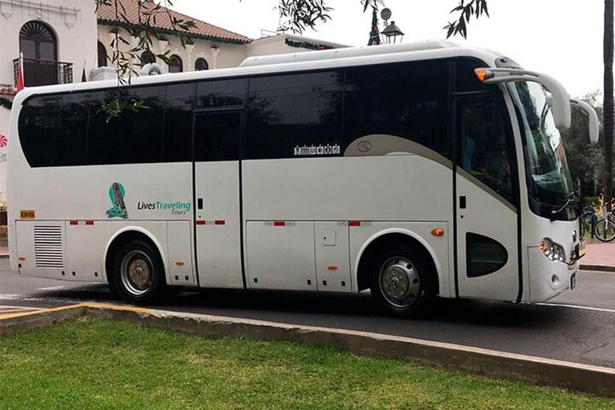 tänava äärde pargitud valge buss