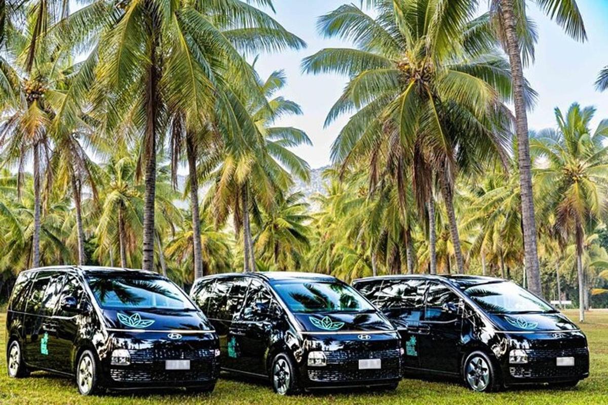 three black cars parked in a field with palm trees