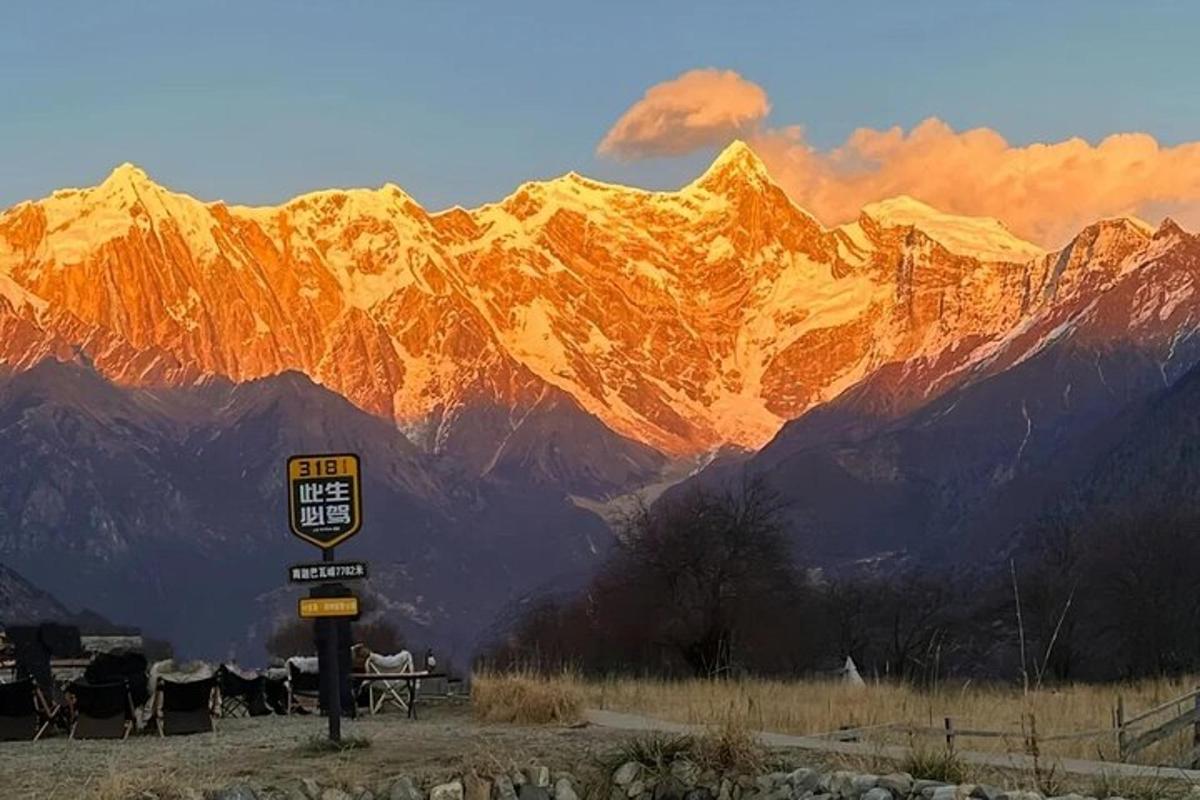 a group of cows standing in front of a mountain