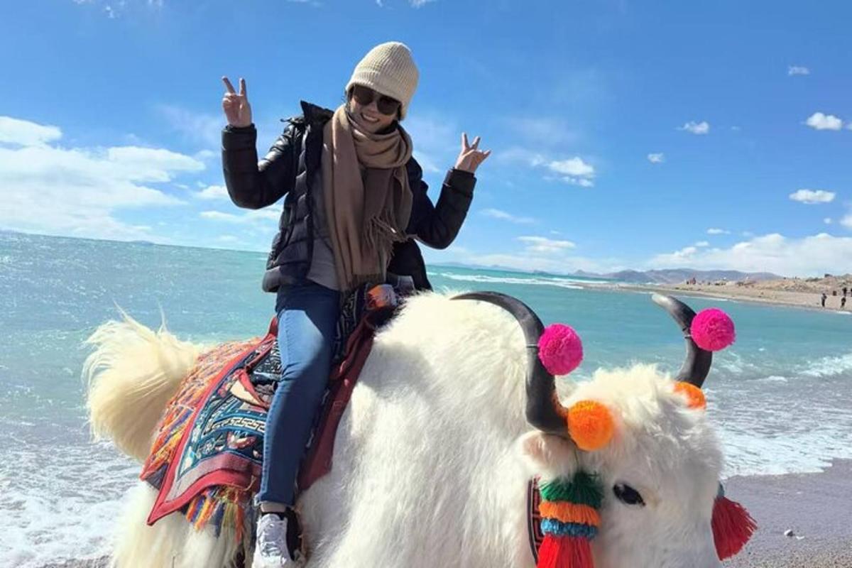a woman riding a cow on the beach